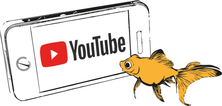 Goldfish YouTube